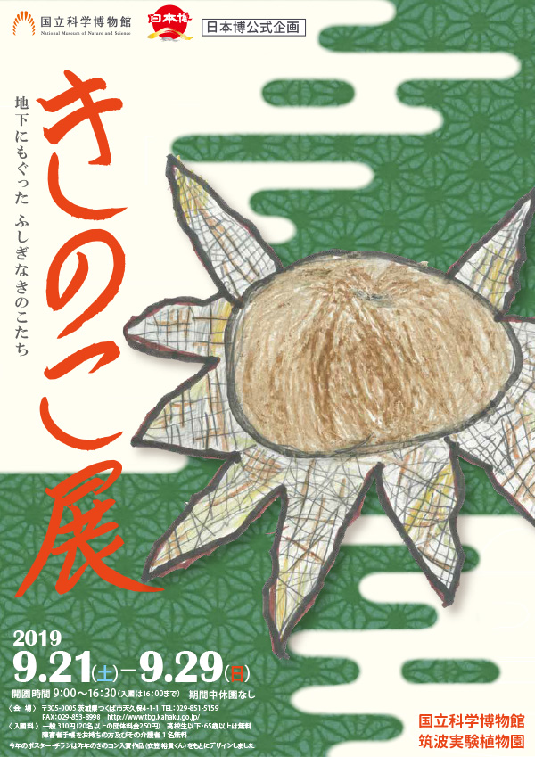 国立科学博物館 筑波実験植物園 企画展 きのこ展 地下にもぐったふしぎなきのこたち のご案内 文化庁のプレスリリース