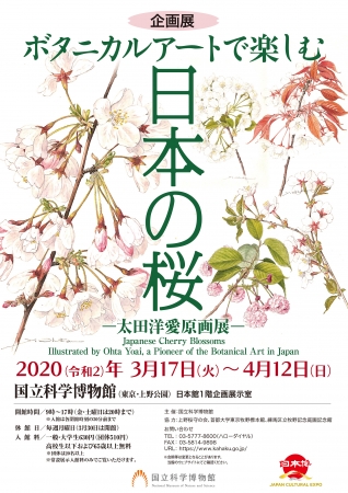 企画展「ボタニカルアートで楽しむ日本の桜 ー太田洋愛原画展ー」ポスター