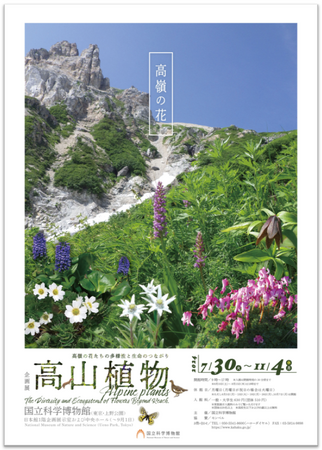 企画展「高山植物～高嶺の花たちの多様性と生命のつながり～」ポスター１.
