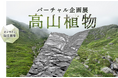 【国立科学博物館】国立科学博物館フルバーチャル企画展「高山植物」 開催!~バーチャル登山から保全まで~