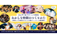 異業種コラボは社員と会社に何をもたらしたのか？46社が愛知の夏を盛り上げた共創イベント「おかしなサマースクール」の成果を公開で総括するイベントを、12月3日(水)夜、名古屋駅前の映画館で開催します。