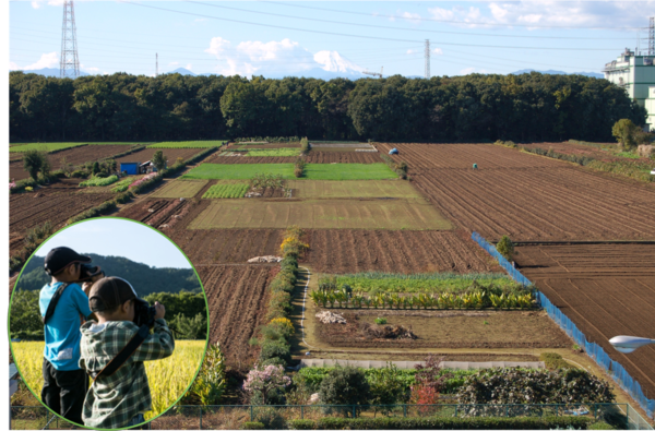 三富新田を取材（イメージ）