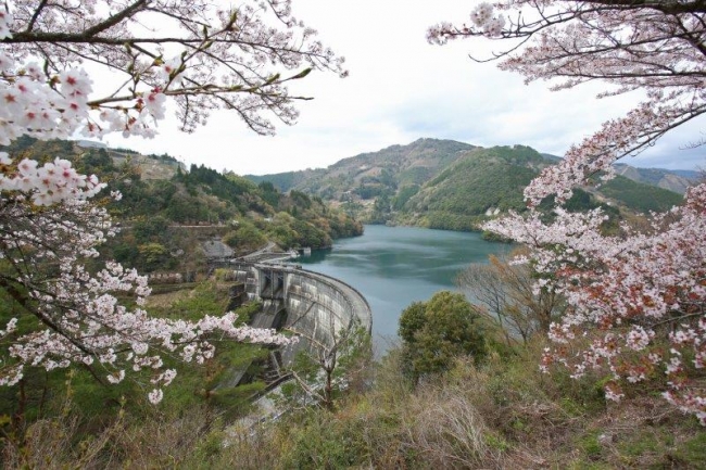 神話のふるさと宮崎の観光地や春の風景を満喫できるダムツアーを３月に実施 九州電力株式会社 宮崎支店のプレスリリース