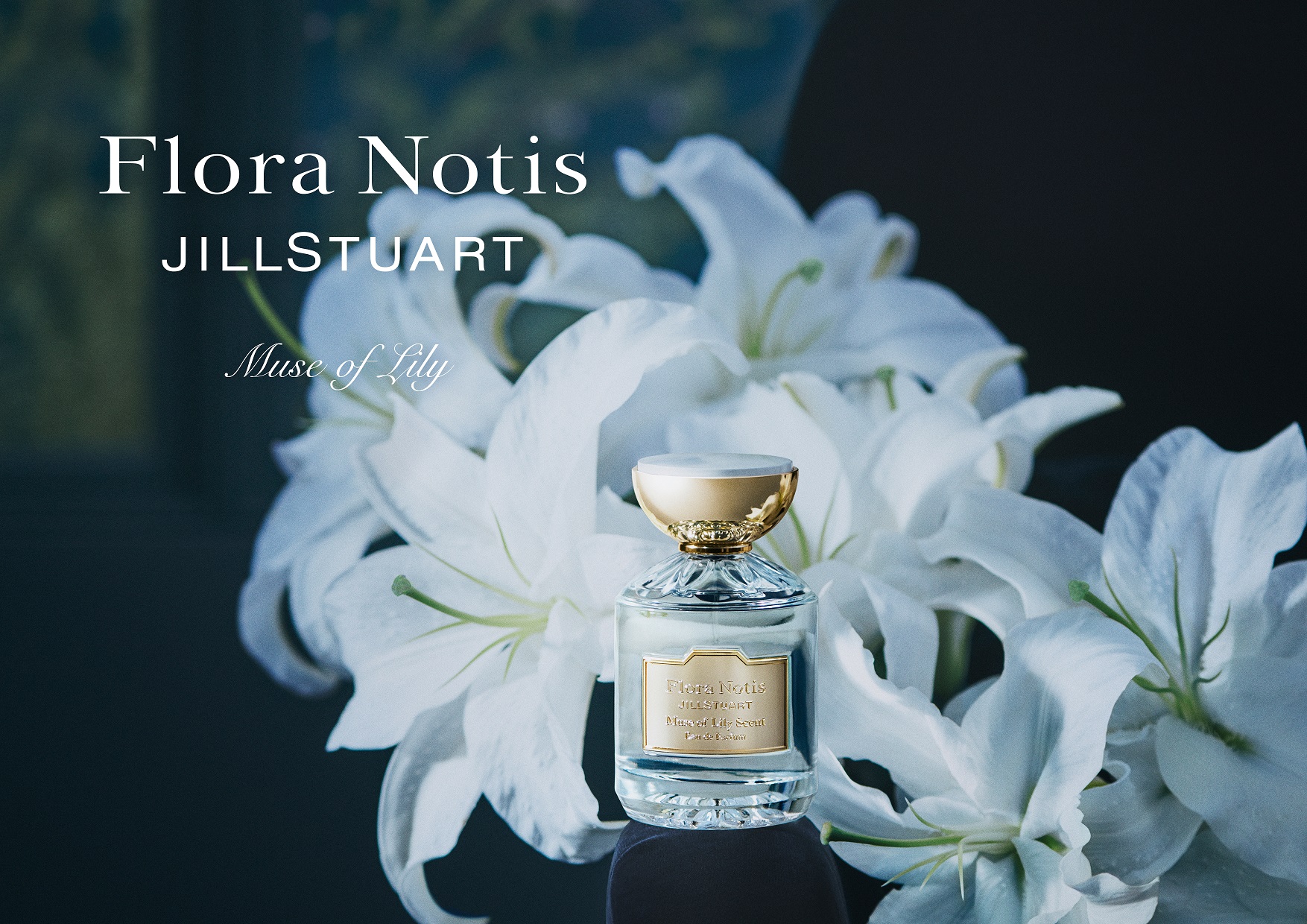 フローラノーティス ジルスチュアート 新たな香り ミューズオブリリー シリーズが新登場 内なる魅力を芽吹かせる 上品で華やかなリリーの香り Flora Notisのプレスリリース