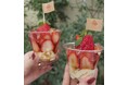 大阪・うつぼ公園隣接のSIK eatery、ブランドいちごを贅沢に使用した「いちご80％の贅沢豆花パフェ」数量限定発売