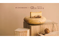 Mr. CHEESECAKE × 鎌倉紅谷「クルミッ子」クルミッ子をMr. CHEESECAKEで包んだような優しくやわらかい味わいのコラボレーションチーズケーキが期間限定で登場!