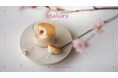 華やかな桜の香りと甘酸っぱいベリーの酸味を楽しめる春限定フレーバー「Mr. CHEESECAKE Petit Sakura / S」が登場!