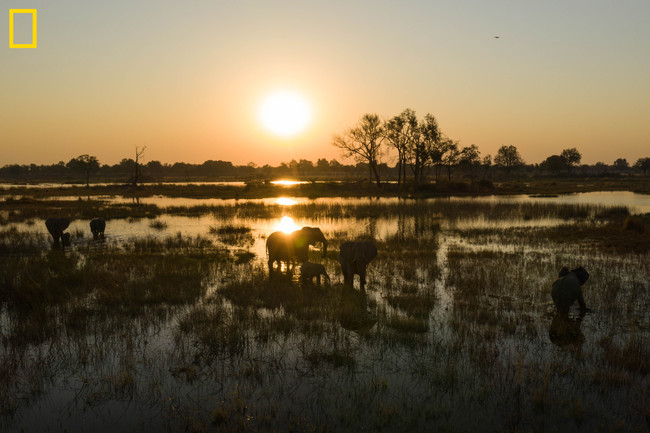 Photo by Chris Boyes - National Geographic Okavango Wilderness Project.