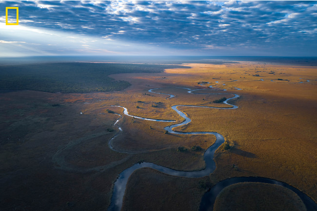 Photo by Kostadin Luchansky - National Geographic Okavango Wilderness Project.