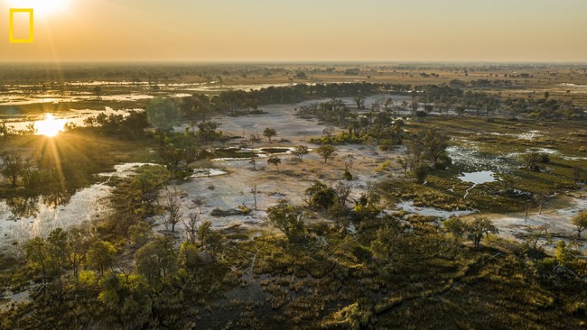 Photo by Chris Boyes - National Geographic Okavango Wilderness Project.