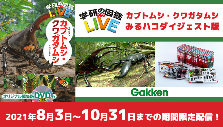 学研の図鑑live ライブ 世界のカブトムシ クワガタムシの貴重映像がカラオケルームに Joysoundの みるハコ で無料配信スタート 株式会社エクシングのプレスリリース
