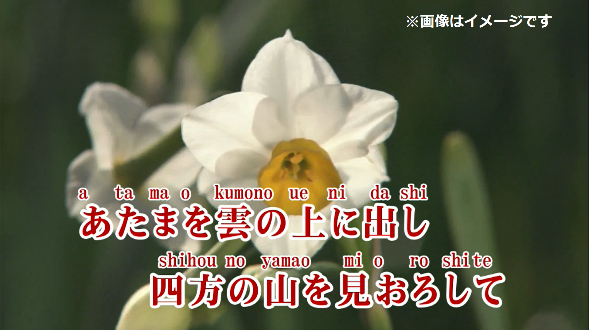 日本が誇る文化 カラオケ を世界に発信 カラオケ人気曲50曲の ローマ字カラオケ をjoysoundがyoutubeで無料配信 株式会社エクシングのプレスリリース