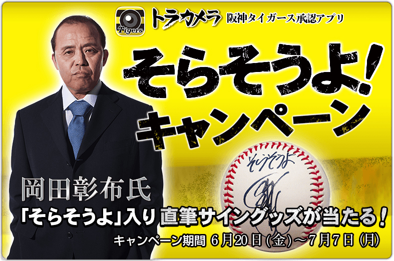 阪神タイガース 岡田監督 シークレット円形クッション - その他