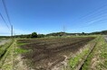 【松屋フーズ】水稲の直播・節水型栽培の共同実証推進について