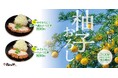 【松のや】真夏のかつに涼を添えて 「旨塩ゆずおろし」発売!