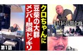 クロちゃんが豆柴の大群にかけられた『メンバー脱退ドッキリ』豆柴の大群公式YouTubeにて3週連続アップ！