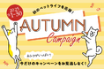 「ペットゴー(petgo.jp)」2025 AUTUMN Campaign開催