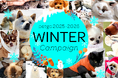 「ペットゴー（petgo.jp）」2025-2026 Winter Campaign開催