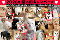 「ペットゴー（petgo.jp）」2026年猫の日キャンペーン開催