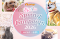 「ペットゴー（petgo.jp）」Spring Campaign 2026開催