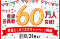「ペットゴー（petgo.jp）」登録会員数60万人突破キャンペーン開催