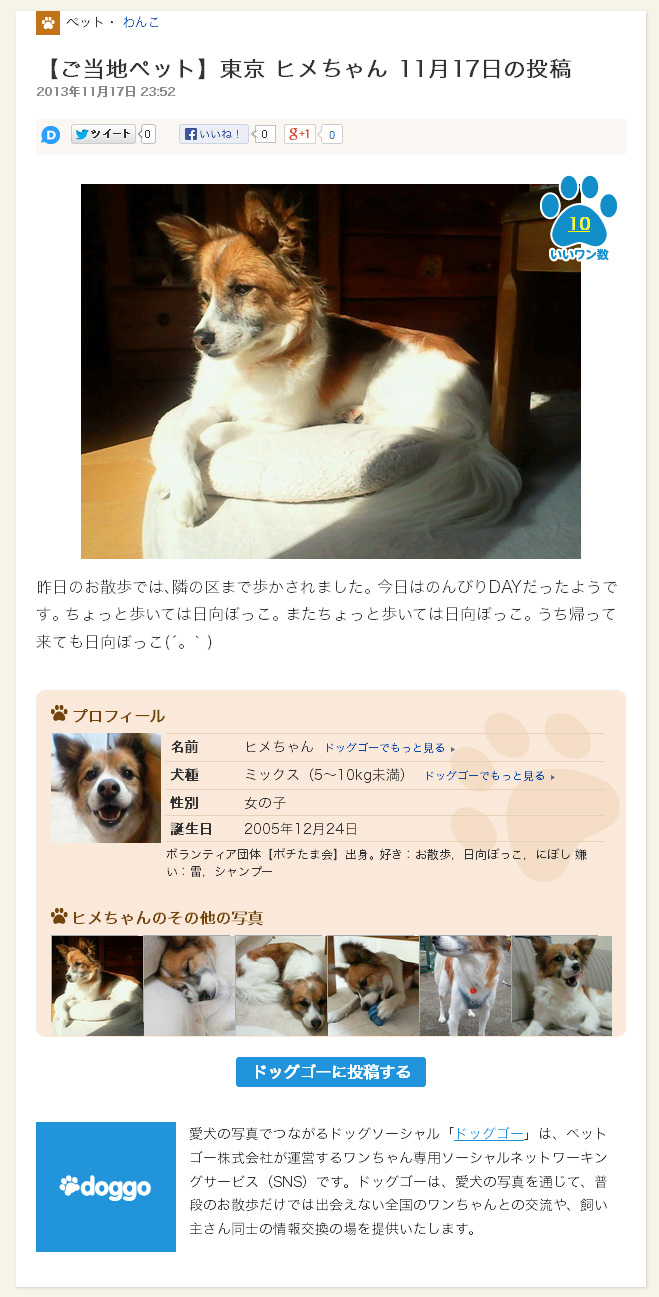 ペットソーシャル ドッグゴー キャットゴー がjタウンネットとコンテンツ配信提携 ペットゴーのプレスリリース