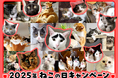 「ペットゴー(petgo.jp)」2025年ねこの日キャンペーン開催