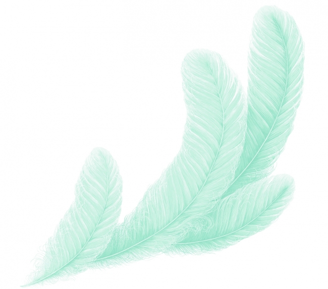 図案化が描き下ろした繊細な羽根の図案