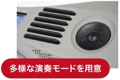 簡単本格的