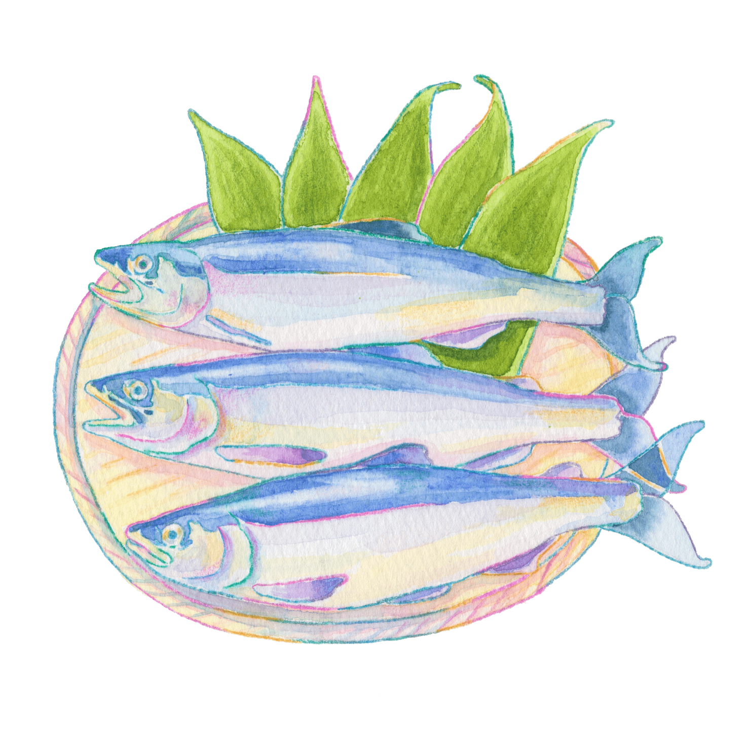 北海道千歳市の激レアグルメ 支笏湖の至宝 チップ を食べ尽くせるギフトセットが数量限定で発売開始 株式会社ニッポン放送プロジェクトのプレスリリース