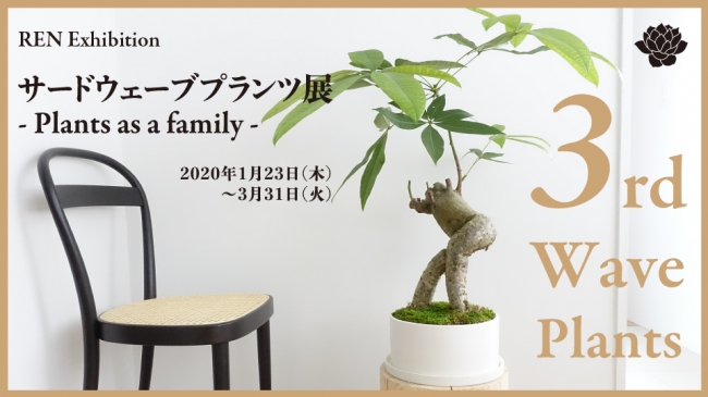 グッドデザイン賞受賞の老舗植物店のプロが提案する 家族やパートナーのような植物との暮らし サードウェーブプランツ展 を 1月23日 木 から開催 東京 生花株式会社のプレスリリース