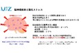 短期間の低濃度水素吸入が高齢女性の認知機能を改善：MMSEスコアが正常域に｜MiZ株式会社・ノヴィサド大学 共同研究