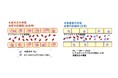 水素豊富生理食塩水が出血性ショックの血管内皮を保護し生存率を改善｜MiZ・大阪公立大学 共同研究