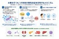 低濃度水素が「未病」の慢性炎症を抑制する可能性｜MiZ・UC Berkeley・慶應義塾大学 総説