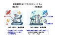水素摂取が運動時の骨格筋酸化ストレスを抑制し持久力を向上｜MiZ・筑波大学 共同研究