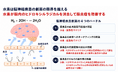 低濃度水素吸入と脳神経疾患──MiZ 8 年 14 論文・10 研究機関・9 特許の知の系譜｜慶應ほか