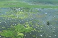 南スーダン：深刻な洪水被害と人道援助の不足、危険な状況に