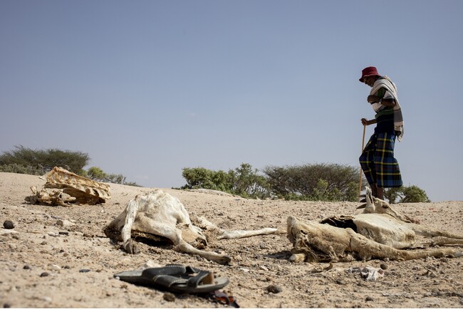 ソマリアでは数百万人が干ばつの影響を受け、その多くが避難民キャンプで生活している　(C)I.Taaxta／ICRC