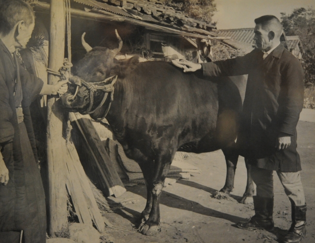 牛肉料理の老舗 東京日本橋はせ甚 の１５０年の伝統の味を名古屋で受け継ぐお店 紗舞璃 株式会社shaburiのプレスリリース