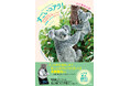 1日20時間眠るコアラのすべてがわかる!『すごいコアラ! 飼育頭数日本一の平川動物公園が教えてくれる不思議とカワイイのひみつ』10月17日本日発売!