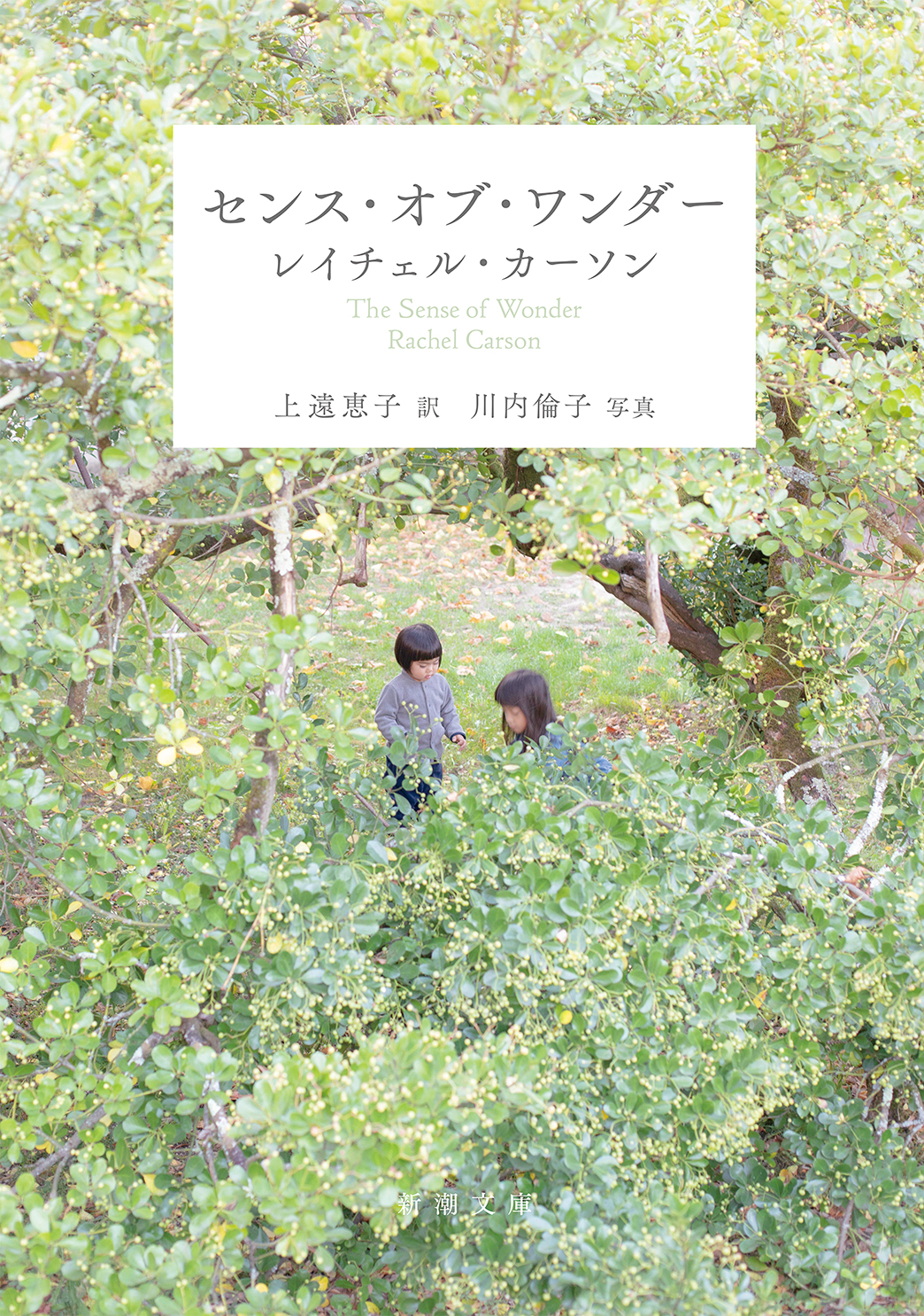 持続可能な社会を子どもたちに 環境問題の嚆矢となった 沈黙の春 の著者レイチェル カーソンが遺した名作 センス オブ ワンダー 待望の文庫化 株式会社新潮社のプレスリリース