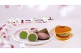 【川崎初出店】3/22-23 ラゾーナ川崎春の和菓子まつりにとろける生大福や抹茶道明寺を楽しめる「あづみの茶胡蝶庵」が出店!