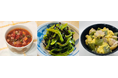 綿半から新野菜の提案!食用サボテンのブランド「SABOVEG」(サボべジ)からサボべジマイスターが誕生!