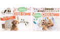 ２月22日（日）綿半塩尻店に【犬処ケンケン塩尻店】＆【綿半塩尻ペットクリニック】が誕生！
