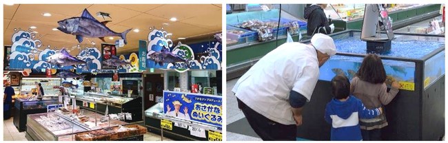 店内を縦横無尽に泳ぐマグロまるで海の中にいるみたい　  「いけす」は綿半のミニ水族館 子どもたちも魚に夢中