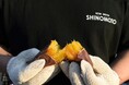 秋らしい焼き芋から目新しいスイーツまで!“さつまいもの秋”を盛り上げる「超芋まつり」各店の注目メニューをピックアップ!!