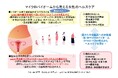 ~マイクロバイオームの変化が導く女性の健康への新たなアプローチ~第18回 日本性差医学・医療学会学術集会にて腟と腸内細菌叢の相互作用を明らかに
