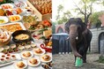 【ザ・カハラ・ホテル&リゾート 横浜】食品ロス削減への取り組み~ブッフェで余った料理を動物のおやつとして循環~