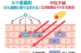株式会社CICS（リゾートトラスト株式会社の連結子会社）、加速器を用いたBNCT治療システムの医療機器製造販売承認申請のお知らせ