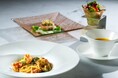 【飛驒高山美術館】芸術鑑賞の余韻を、美食へ「ART＆LUNCH～SUMMER～」を期間限定でご提供